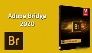 Hướng dẫn cài đặt Adobe Bridge 2020 Active chi tiết