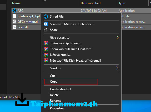 Copy toàn bộ file trong thư mục kích hoạt Copy toàn bộ file trong thư mục kích hoạt