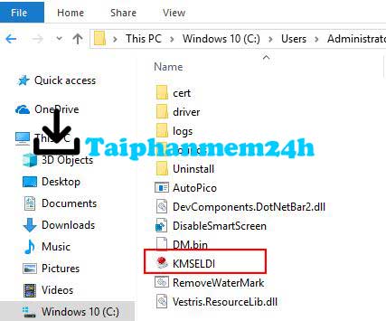 Chạy file KMSELDI